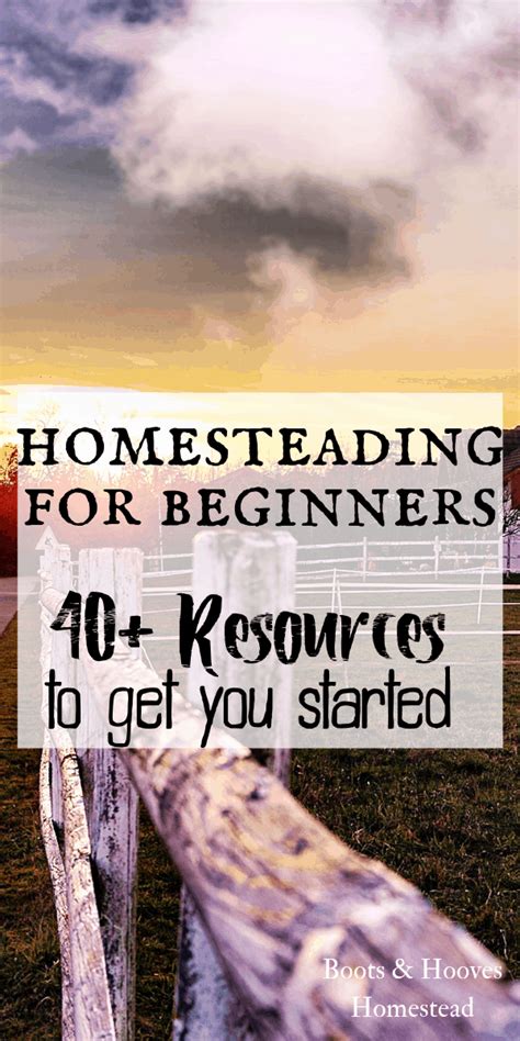 Homesteading for beginners 40 resources – Artofit