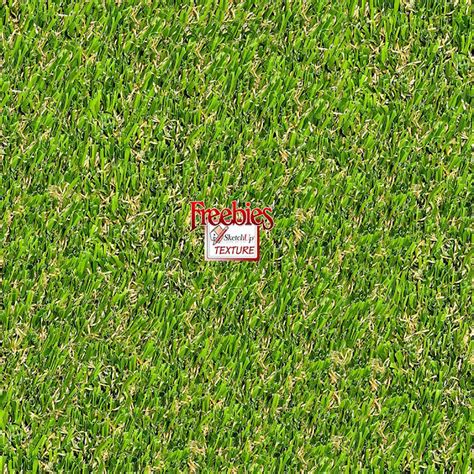 SKETCHUP TEXTURE: Search results for grass