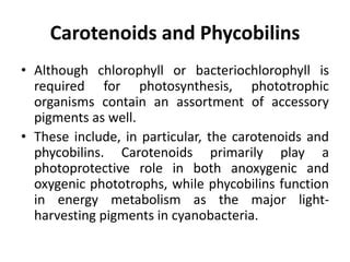 B.Sc Micro II Microbial physiology Unit 1 Bacterial Photosynthesis | PPT