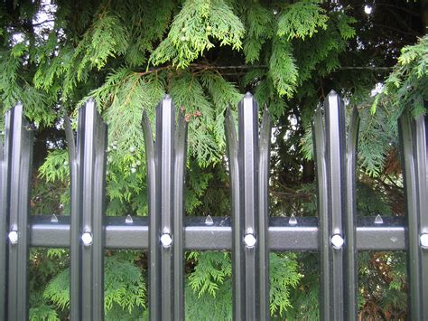 Steel Palisade Fencing | Hodges & Lawrence Ltd