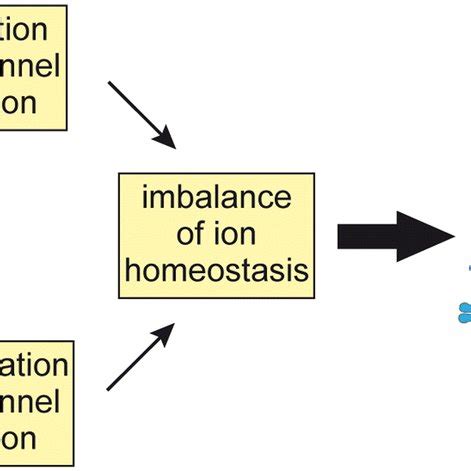 Contribution of ion channel dysregulation to characteristic cancer ...