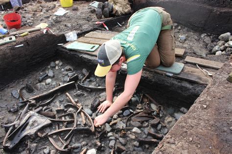 Scarborough dig: Rare finds offer insight into Stone Age life - BBC News