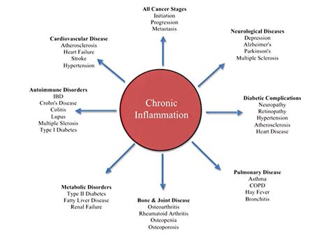 What is Chronic Inflammation, and Why Is It Killing Us?