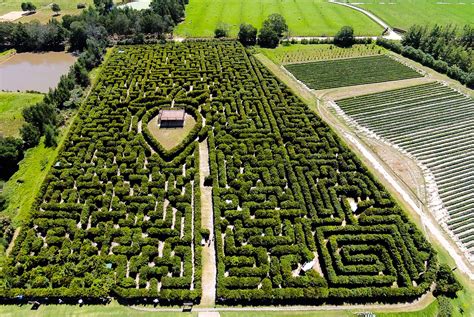 Hedge Maze | Activities | Redberry Farm