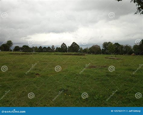 Moi Campus stock image. Image of eldoret, town, campus - 125763171