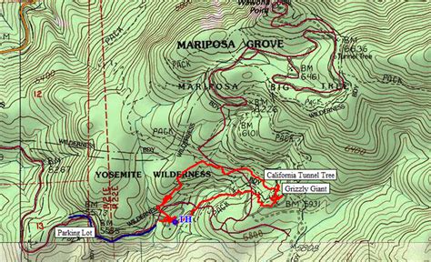 Mariposa Grove, Yosemite National Park | Ted's Outdoor World