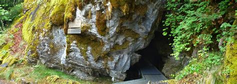 The Marble Halls of Oregon: Oregon’s Caves – Exploring Oregon