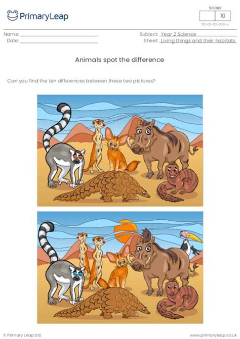 Science: Polar bear spot the difference | Worksheet | PrimaryLeap.co.uk