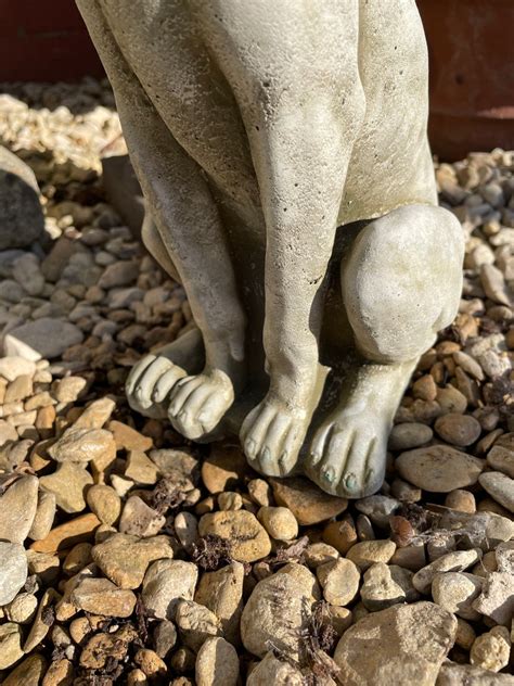 Sitting Puppy Dog Stone Statue Animal Puppy Garden Outdoor - Etsy