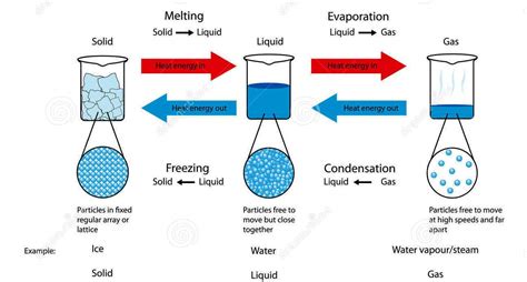 Solid Liquid And Gas Particle Diagram