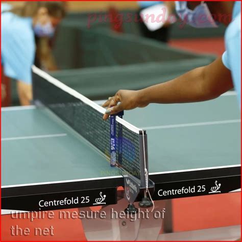 What is the official net height in table tennis? – TittlePress