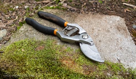 Fiskar Pruning Shears: PNW trail maintenance tool