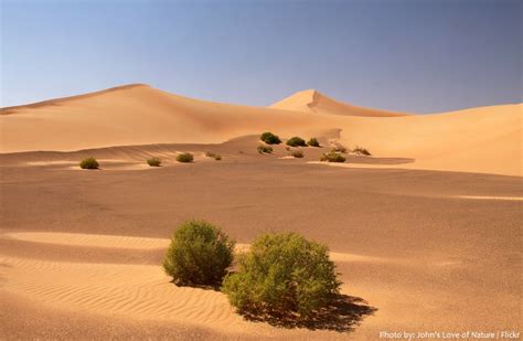 Interesting facts about the Arabian Desert | Just Fun Facts