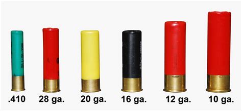 Shotshells - 10 Gauge Shell Vs 12 Gauge, HD Png Download - kindpng