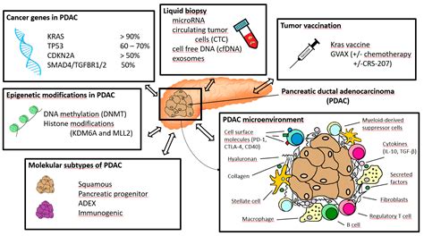 IJMS | Free Full-Text | Current Clinical Strategies of Pancreatic Cancer Treatment and Open ...