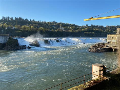 Good morning from Willamette falls 🌊 : oregon