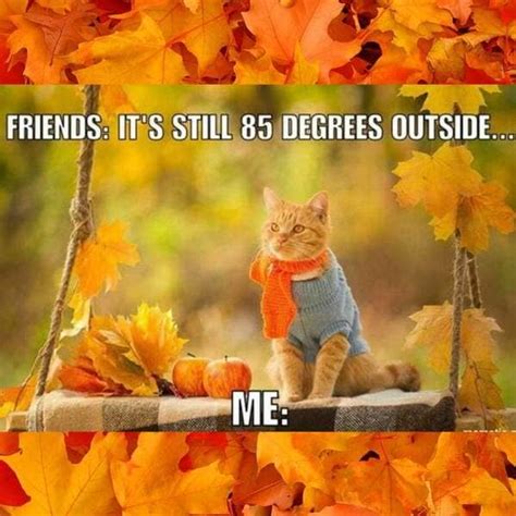 27 Funny Fall Memes For Anyone Who Lives For Dying Leaves