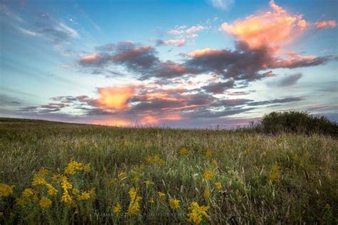 Great Plains Photography Print | Tallgrass Prairie Picture | Oklahoma ...