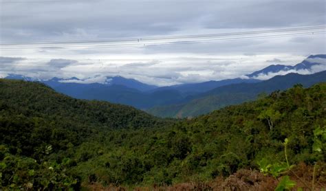 Trường Sơn Ridge Hike - Beyond Da Nang