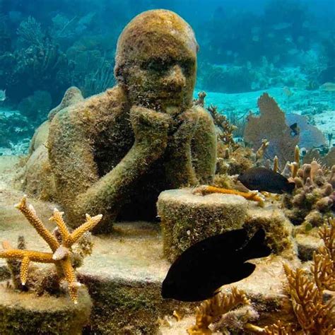 Complete Guide To Visiting The Cancun Underwater Museum (MUSA) - Cancun Sun