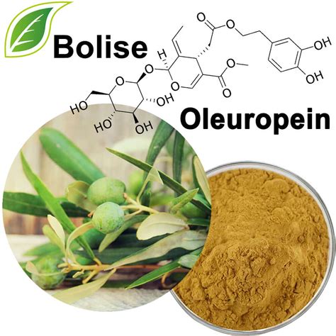 Oleuropein 10%~80% from Olive Leaf Extract Suppliers,Manufacturers