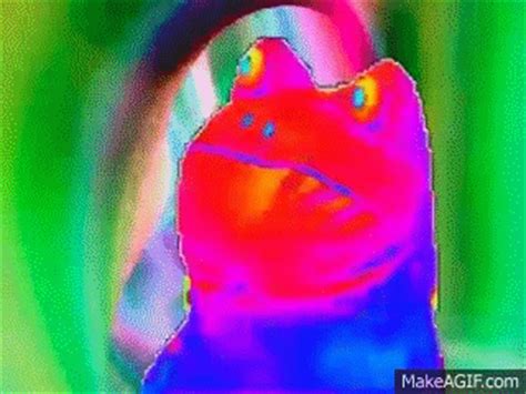 The Rainbow Frog Dance (Original) on Make a GIF