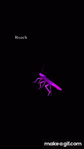 Dancing roach on Make a GIF