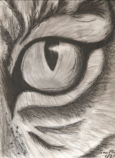 Items similar to Tiger Eye Charcoal Freehand Drawing on Etsy