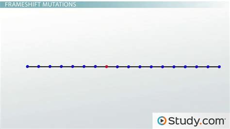 Frameshift Mutations | Types, Examples & Effects - Lesson | Study.com