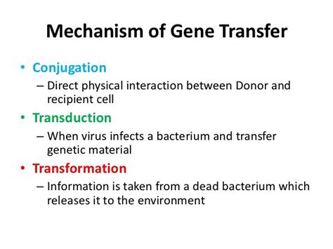 transduction transformation conjugation - Google Search | Transformations, Physics, Genetics