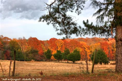 North Georgia Fall Colors!