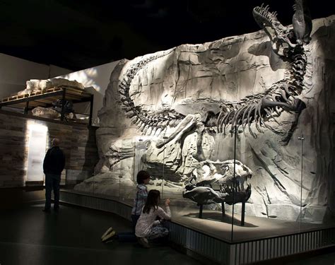 Royal Tyrrell Museum of Palaeontology | Director Lisa Making | blooloop