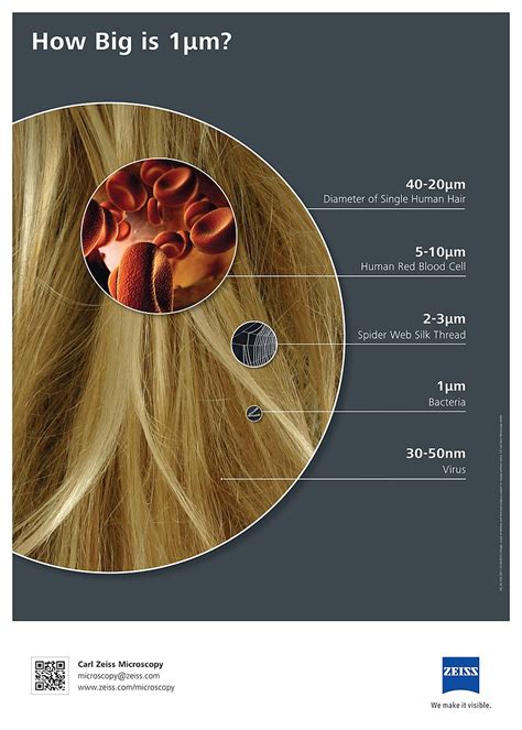 How Big is a Microbe? – JOIDES Resolution