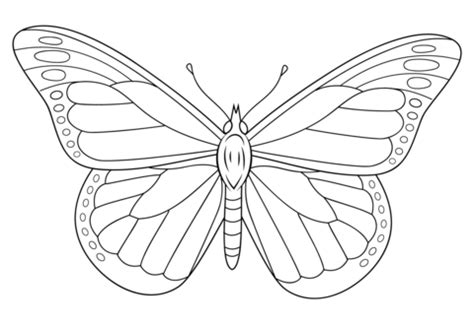 Monarch Butterfly coloring page | Free Printable Coloring Pages