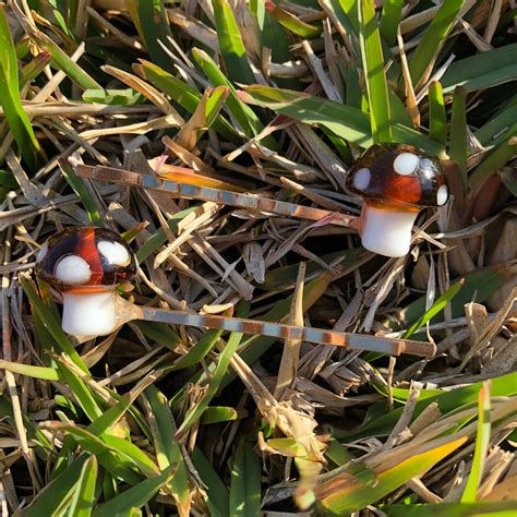 Mini Mushroom Handmade Hair Pins Mushroom Accessory | Etsy