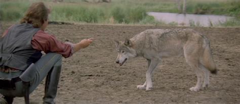 1990 – Dances With Wolves – Academy Award Best Picture Winners