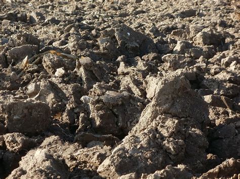 HD wallpaper: ploughed, field, soil, agriculture, rural, farming, land, plowed | Wallpaper Flare