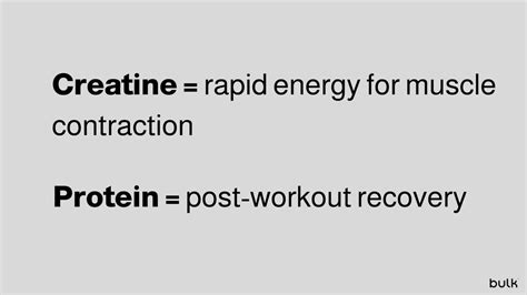 Creatine vs Protein: Which is Better? | Bulk™