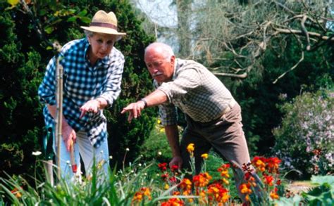 Gardening and DIY 'can cut the risk of dying by 30%': Active hobbies reduce chance of a heart ...