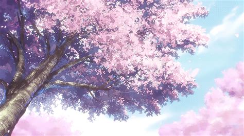 Cherry Blossom Gif - IceGif