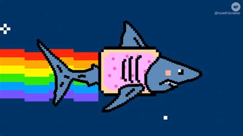 Nyan Shark GIFs on Giphy