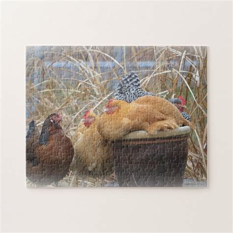 Adorable Chicken Puzzle | Zazzle.com