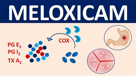 Meloxicam - Mechanism, precautions, side effects & uses - YouTube