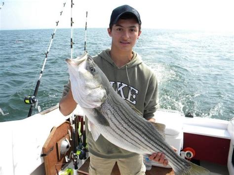 Maryland’s Chesapeake Bay Striped Bass Season Opens April 16