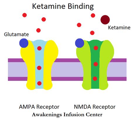 Ketamine NMDA Antagonist