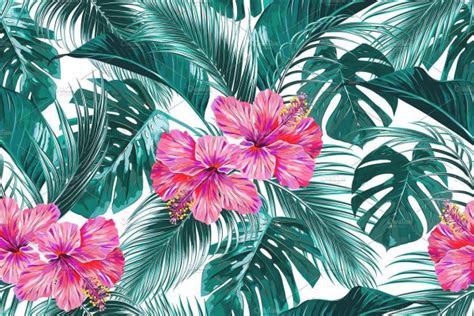 Tropical Floral Wallpapers - Top Free Tropical Floral Backgrounds - WallpaperAccess