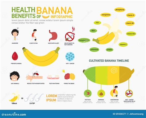 Health Benefits of Banana Infographics. Vector Stock Vector ...