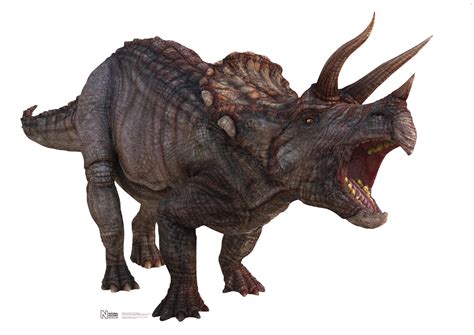 The ferocious power of the famous Triceratops – How It Works