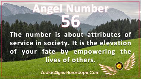 Angel Number 56 is About Attributes of Service in Society | ZSH