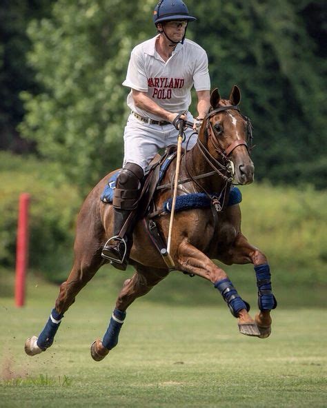 ON HORSE NATION >> Polo Players Give Thanks. (Photo courtesy of Sunny Hale Photography) | Polo ...